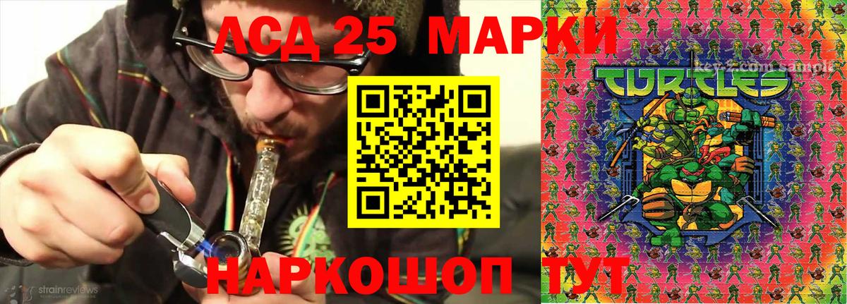 Елизово  Марки N-bome  купить наркотик  Марки 25I-NBOMe 1500мкг  Марки 25I-NBOMe 1500мкг  Вход с VPN 