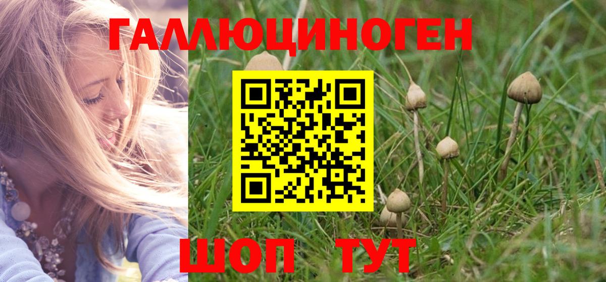 Каннабис Елизово