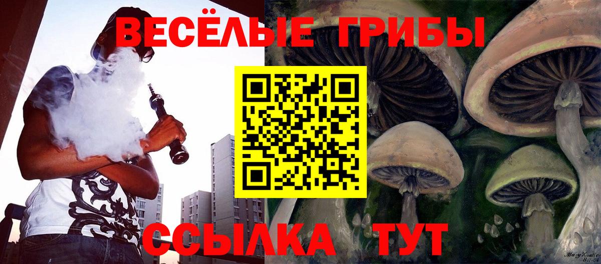 Елизово  купить закладку  Вход с VPN  Галлюциногенные грибы GOLDEN TEACHER 
