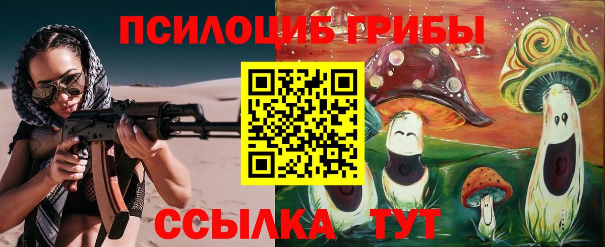 Псилоцибиновые грибы мухоморы Елизово